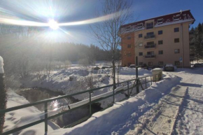 Apartmán Horní Lipová č. 3, Lipova Lazne